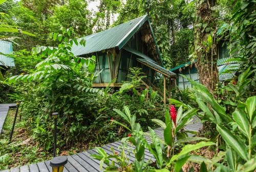 Almonds and Corals Jungle Resort