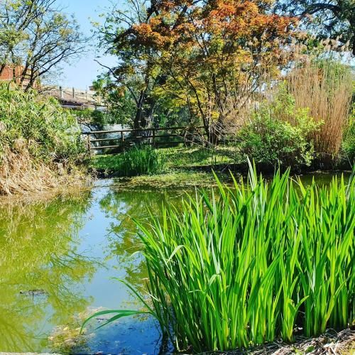 Outdoor Pictures 24