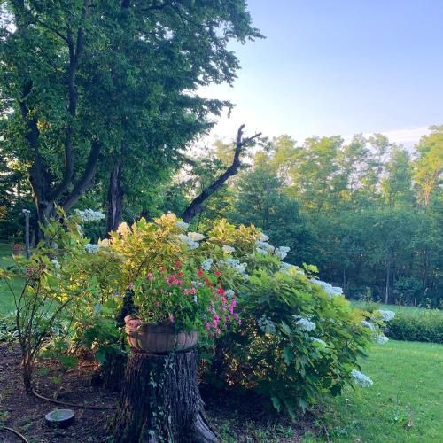 Outdoor Pictures 1