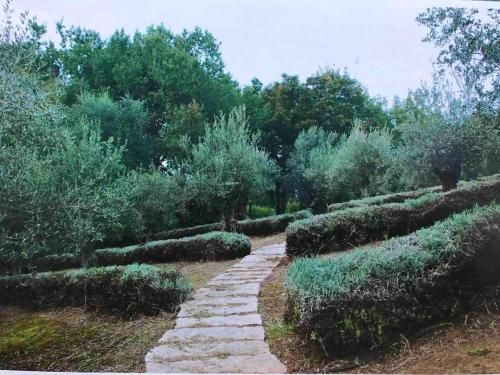 Outdoor Pictures 23
