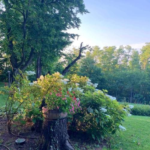 Outdoor Pictures 7