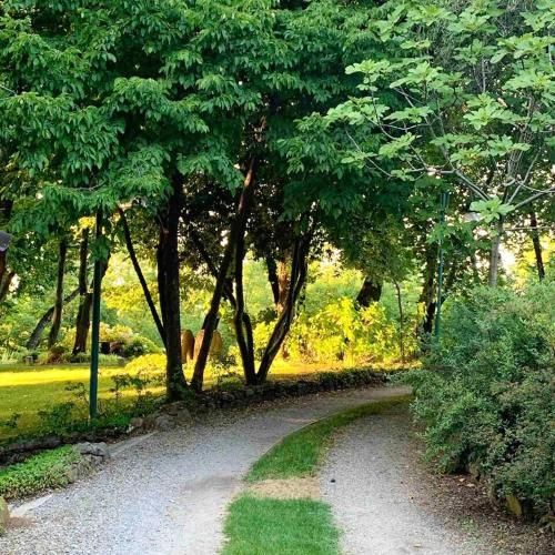 Outdoor Pictures 9