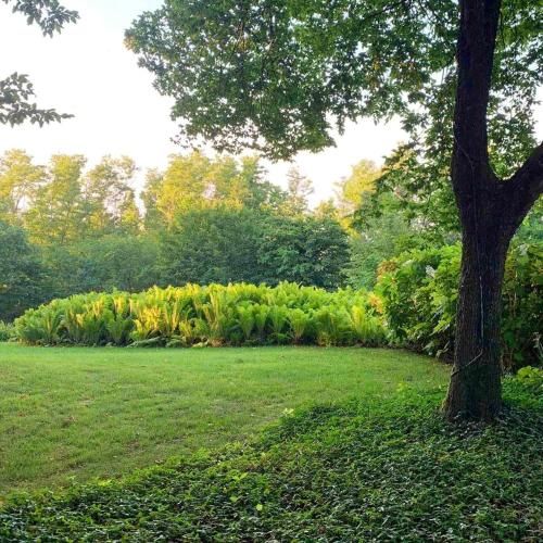 Outdoor Pictures 10