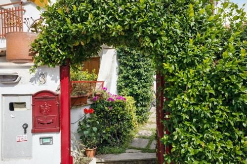 Outdoor Pictures 20
