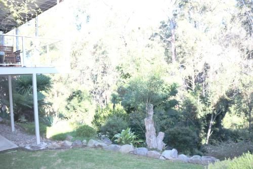 Outdoor Pictures 9