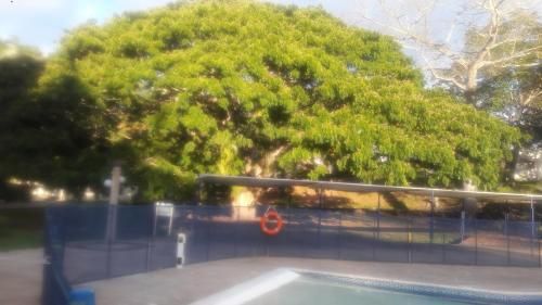 Outdoor Pictures 15