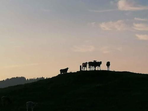 Immenstadt im Allgau Holiday Home 2
