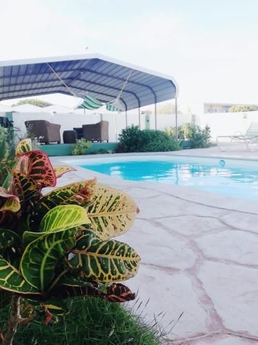 Jade's Oasis