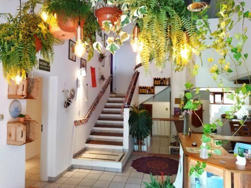 Nômades Vibe da Ilha - Adventure Hostels