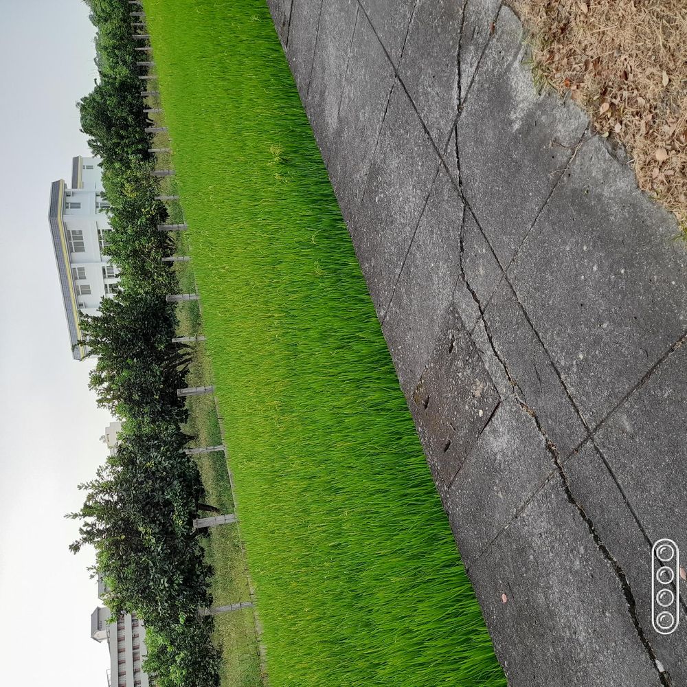 Outdoor Pictures 5
