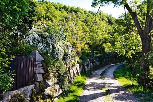 naturAS - La Casetta nel Bosco