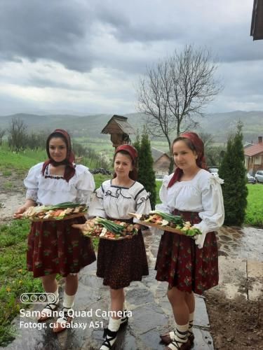 Pensiunea Valea Branzei