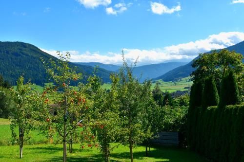 Outdoor Pictures 19