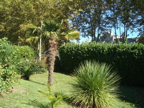 Outdoor Pictures 15
