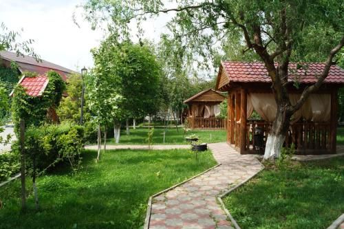 Outdoor Pictures 15