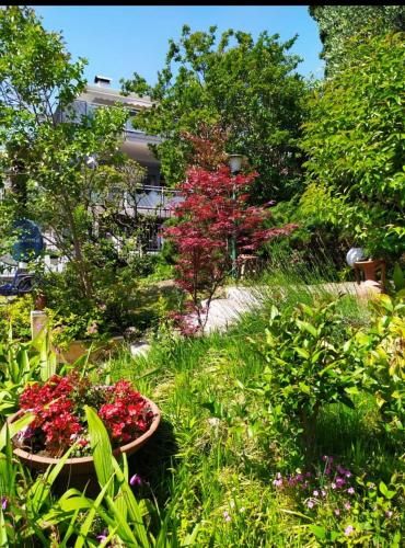 Outdoor Pictures 20