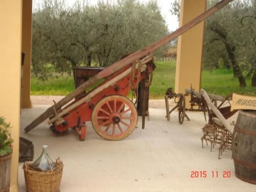 Outdoor Pictures 11