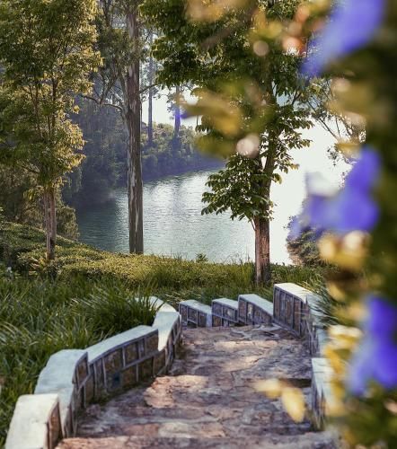 Outdoor Pictures 15