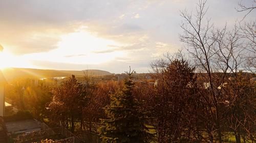 Outdoor Pictures 20