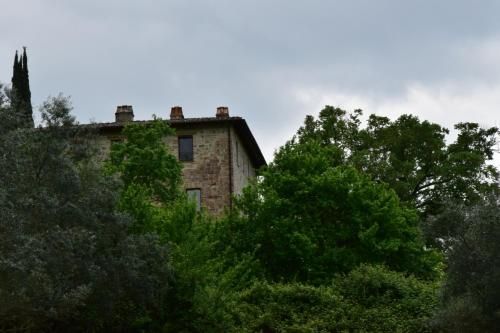 Outdoor Pictures 24