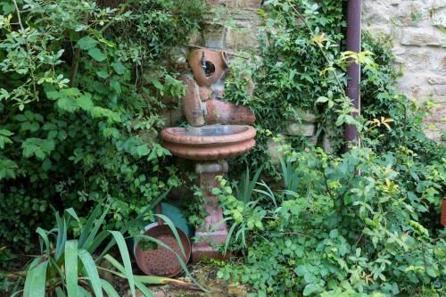 Outdoor Pictures 19