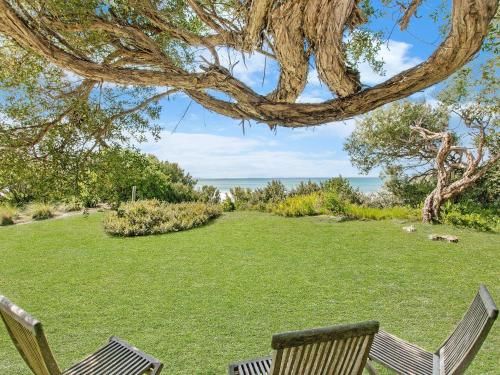 Outdoor Pictures 10