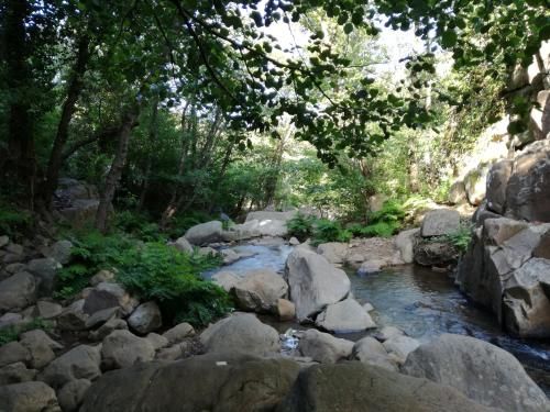 Outdoor Pictures 16
