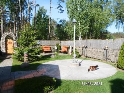 Outdoor Pictures 8