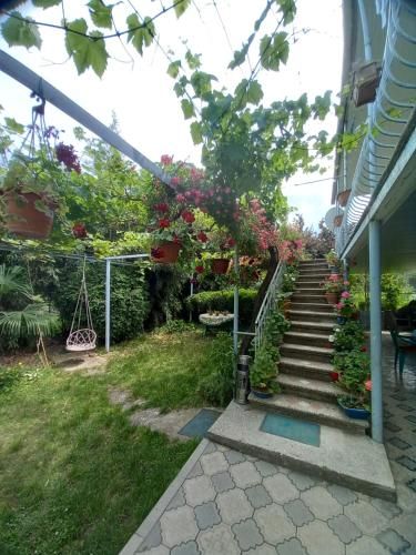 Outdoor Pictures 15