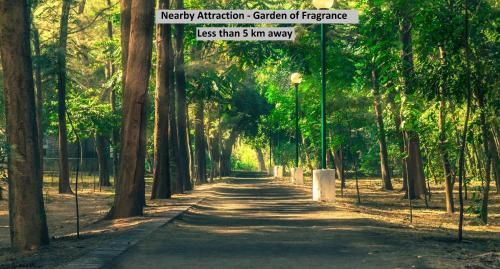 Outdoor Pictures 22