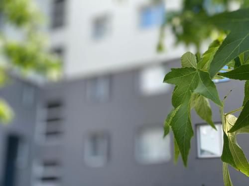 Outdoor Pictures 23