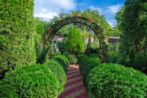 Outdoor Pictures 20