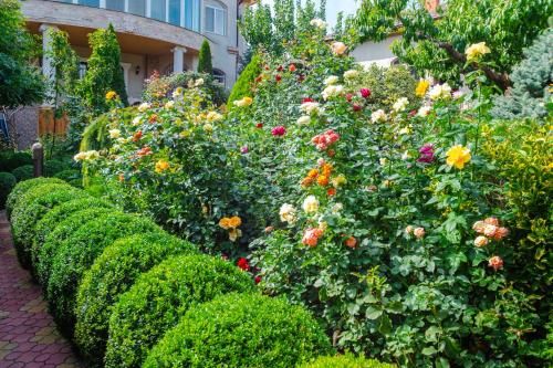 Outdoor Pictures 21
