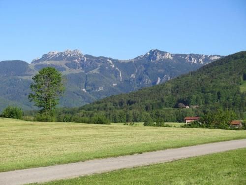 Outdoor Pictures 17