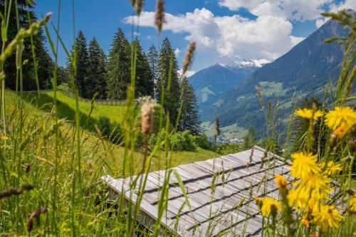 Outdoor Pictures 5