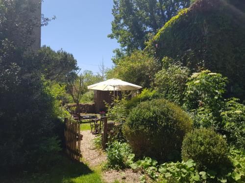 Outdoor Pictures 7