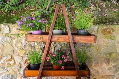 Outdoor Pictures 21