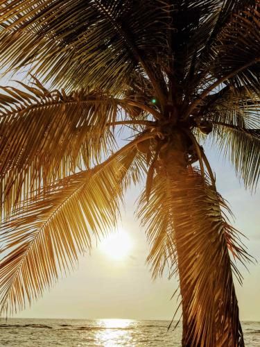 Outdoor Pictures 21