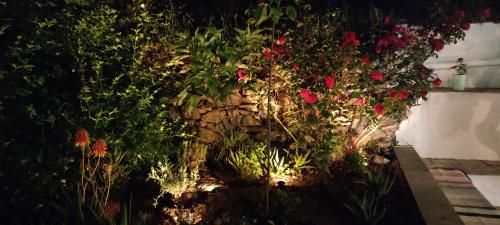 Outdoor Pictures 5