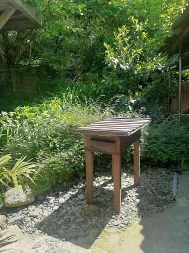 Outdoor Pictures 5
