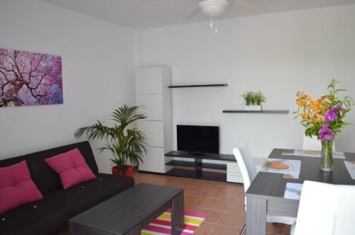 Ground floor apt, private patio, South facing, direct access to the beach