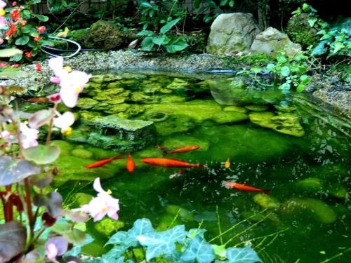 Outdoor Pictures 9