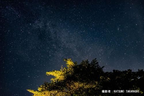 Outdoor Pictures 5