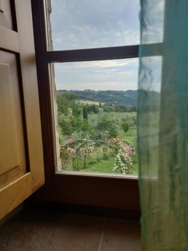 Outdoor Pictures 7