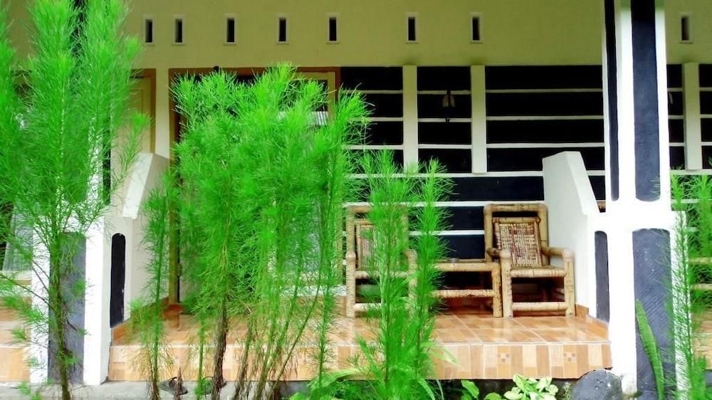 Outdoor Pictures 4