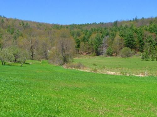 Outdoor Pictures 1