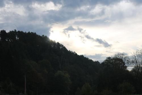 Outdoor Pictures 13