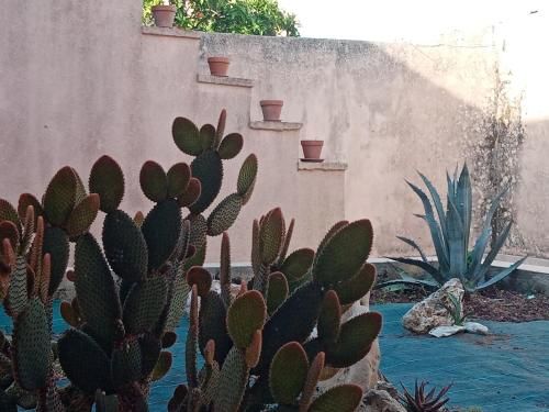 Outdoor Pictures 5