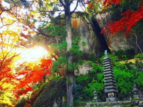 Outdoor Pictures 3