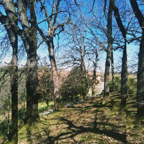 Il Parco Dell'Upupa